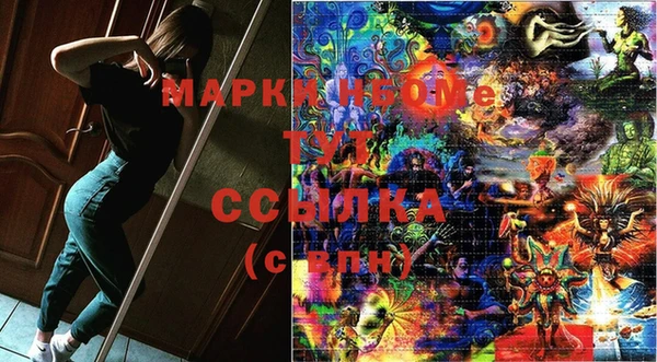 PSILOCYBIN Няндома