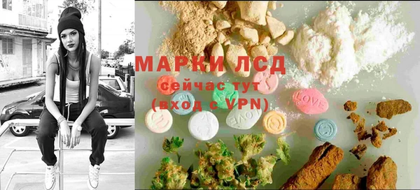 PSILOCYBIN Няндома